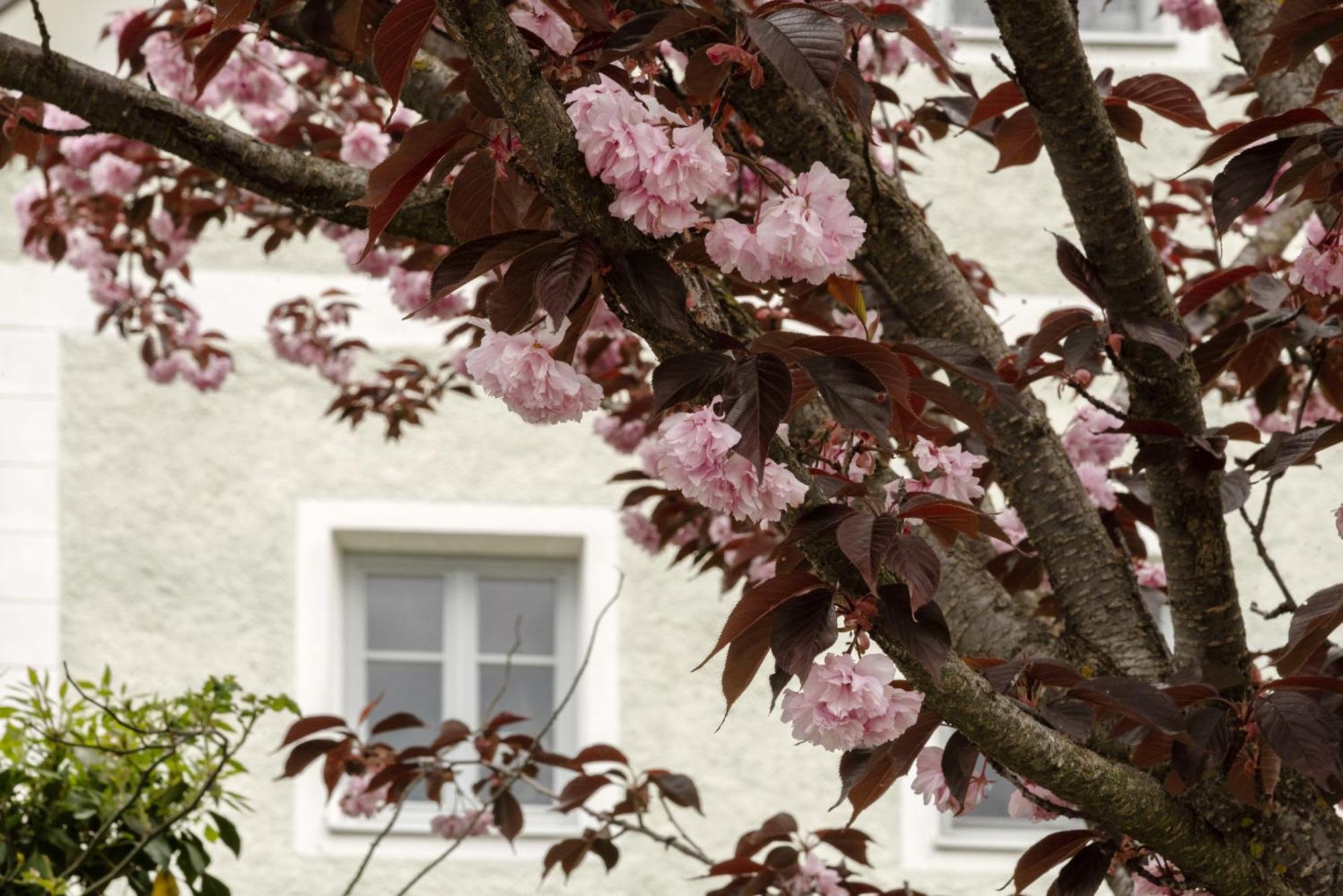 Apartament Puenlandhof Brunico Zewnętrze zdjęcie